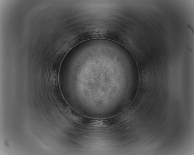 X0000100960083200806241537