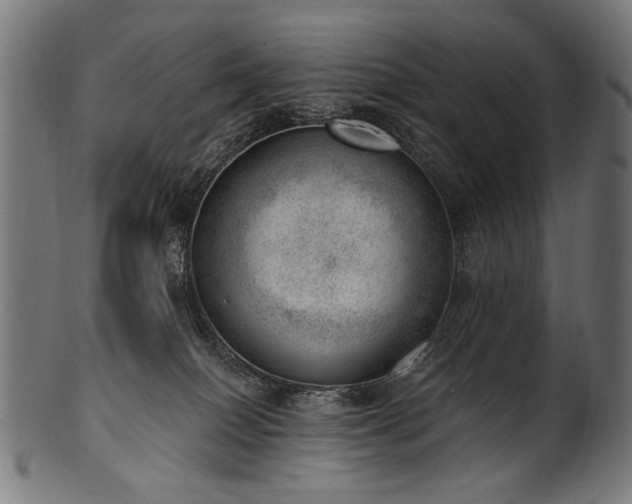 X0000100960086200806241537
