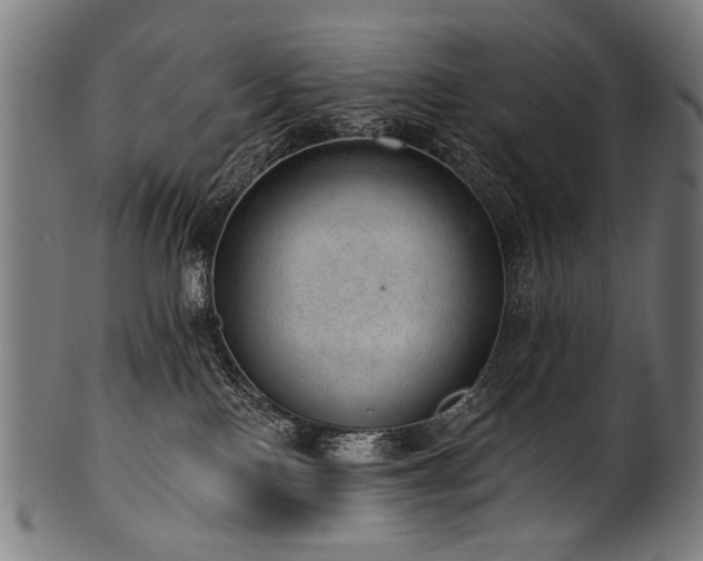 X0000100960090200806241537