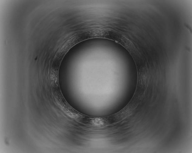 X0000100960091200806241537