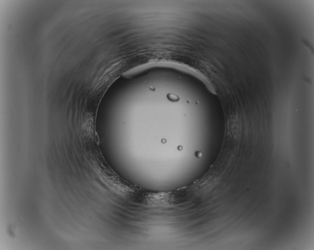 X0000100960092200806241537