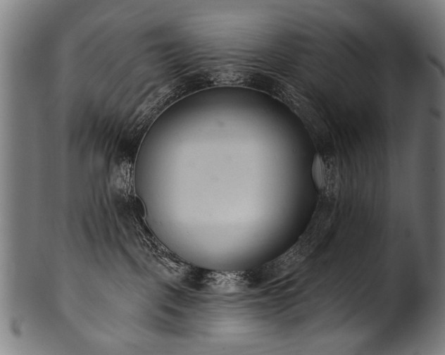 X0000100960093200806241537
