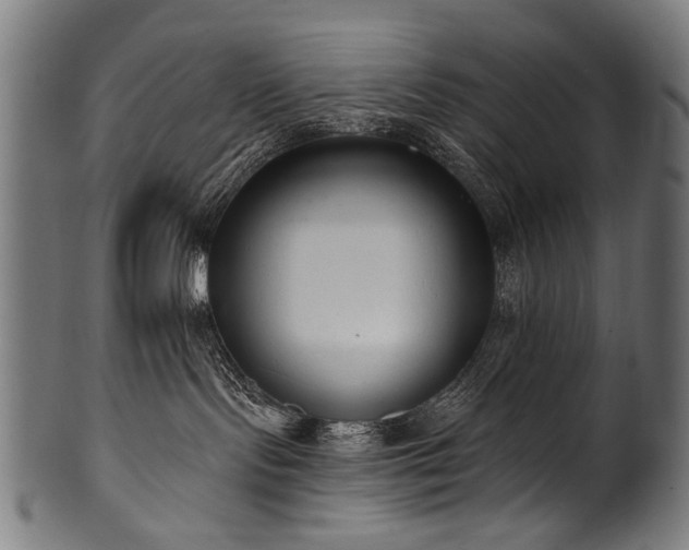 X0000100960095200806241537