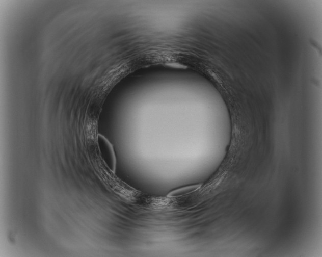 X0000100960096200806241537