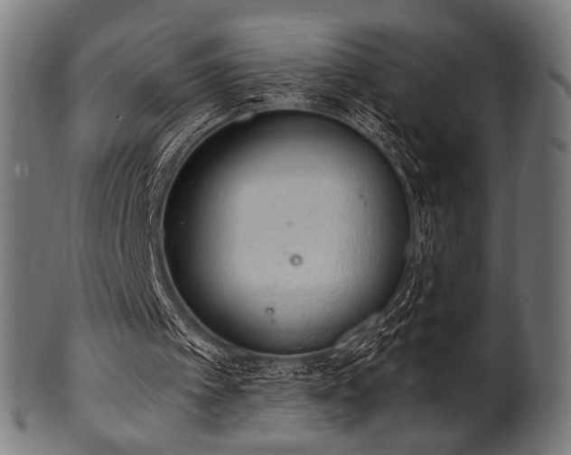 X0000100960097200806241537