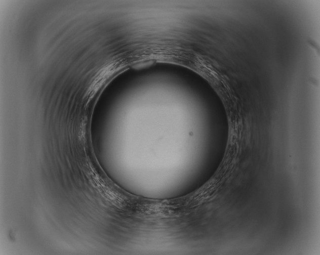 X0000100960098200806241537