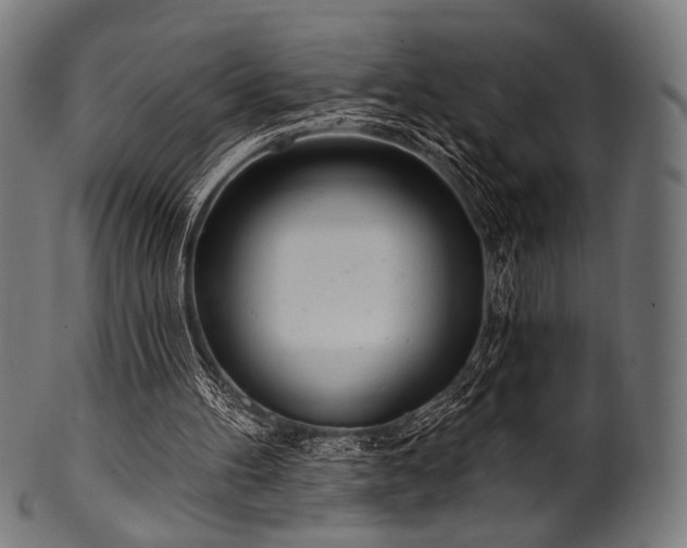 X0000100960100200806241536