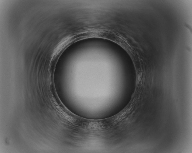X0000100960101200806241536