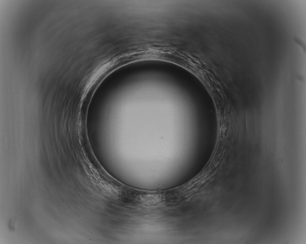 X0000100960102200806241536