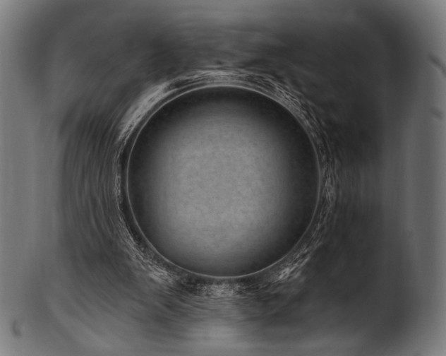 X0000100960103200806241536
