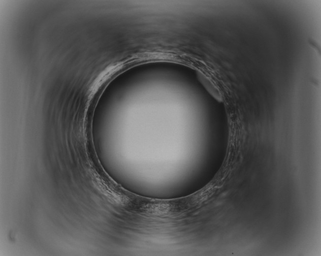X0000100960104200806241536