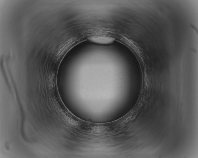 X0000100960105200806241536
