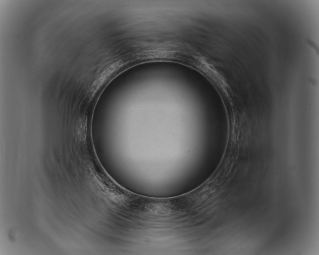 X0000100960107200806241536