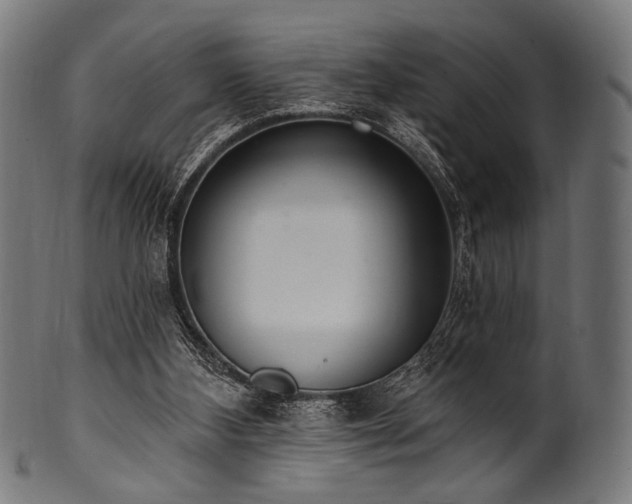 X0000100960108200806241536