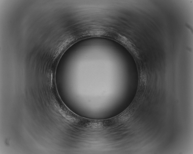 X0000100960110200806241536