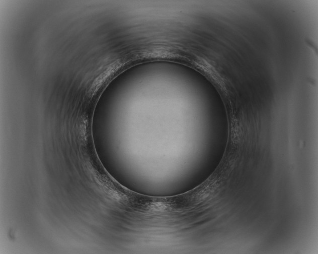 X0000100960111200806241536