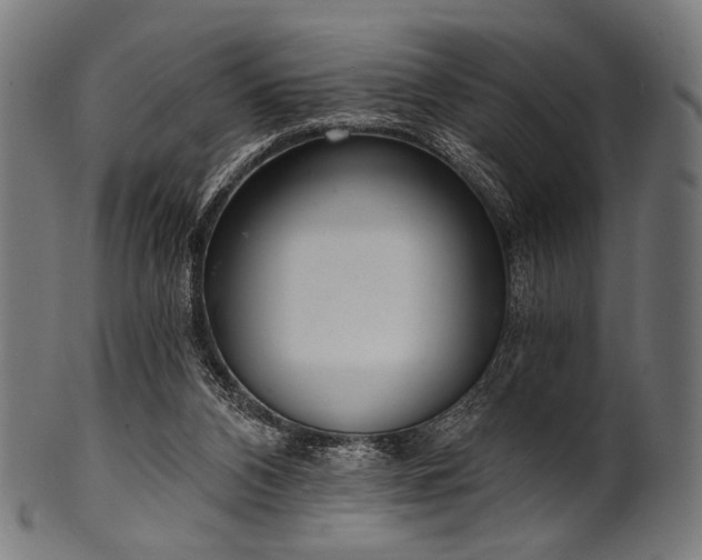 X0000100960112200806241536