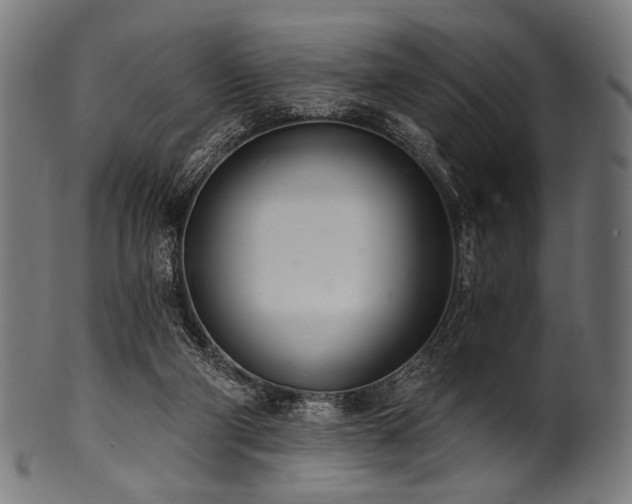 X0000100960114200806241536