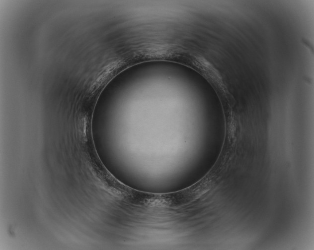 X0000100960115200806241536