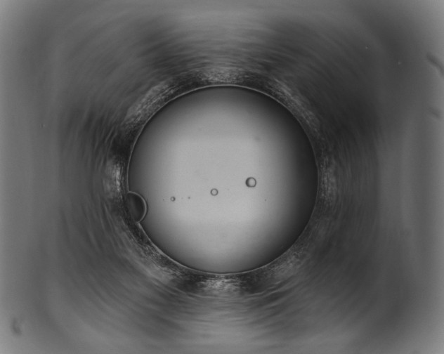 X0000100960117200806241536