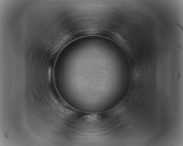X0000100960118200806241536