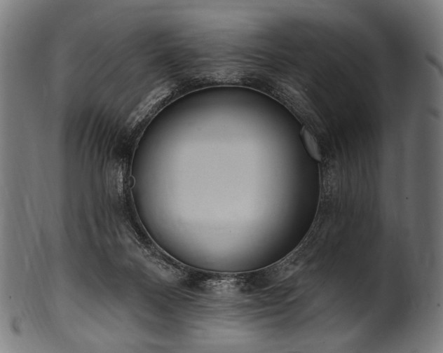 X0000100960120200806241536