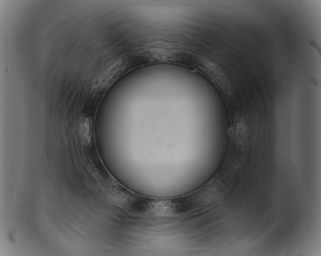 X0000100960121200806241536