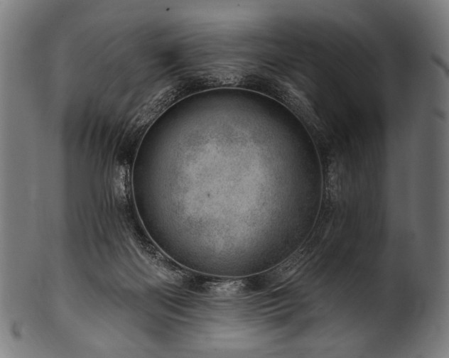 X0000100960122200806241536