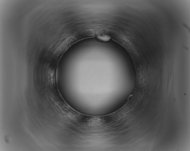 X0000100960123200806241536