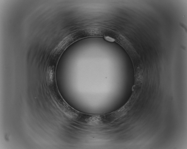 X0000100960124200806241536