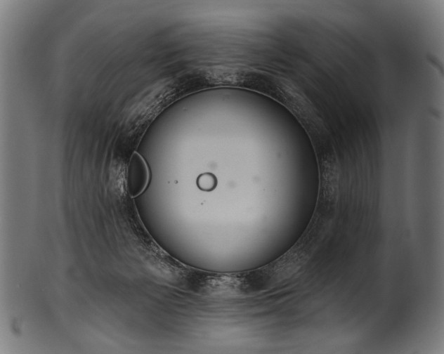 X0000100960125200806241536