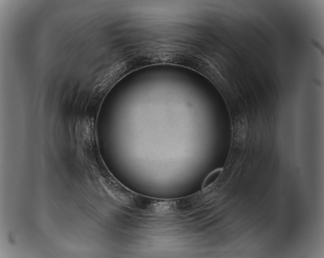 X0000100960126200806241536