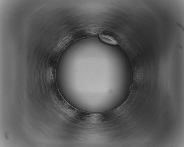 X0000100960128200806241536