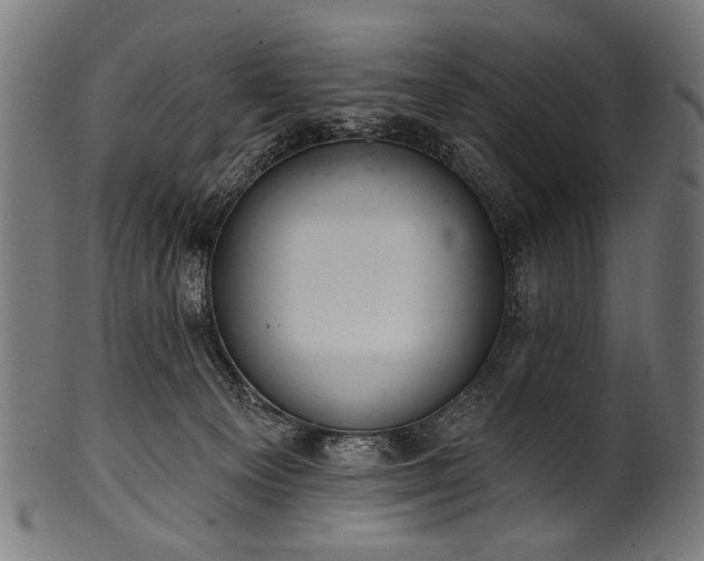 X0000100960129200806241536