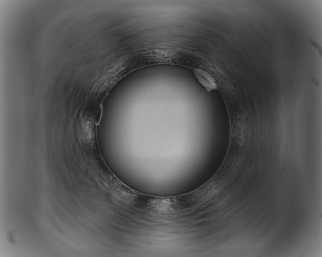 X0000100960131200806241536