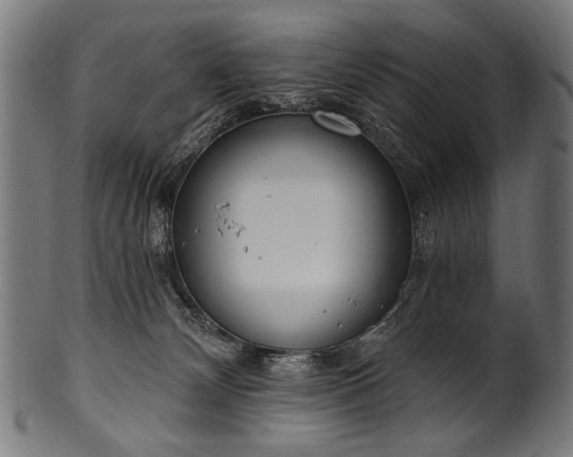 X0000100960132200806241536