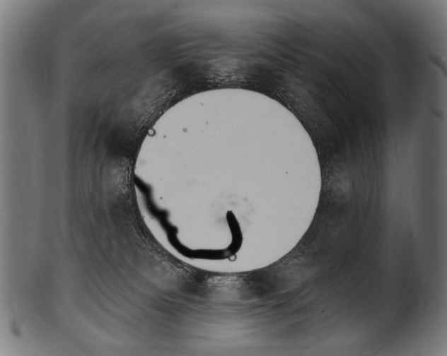 X0000100960133200806241536