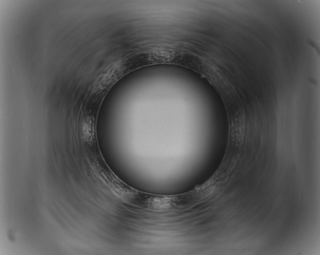 X0000100960134200806241536