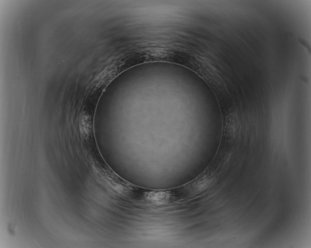 X0000100960135200806241536