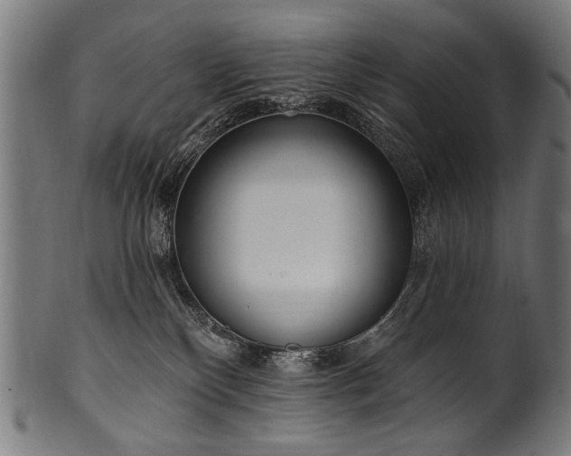 X0000100960136200806241536