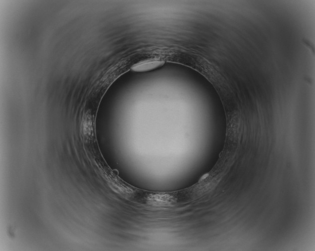 X0000100960137200806241536