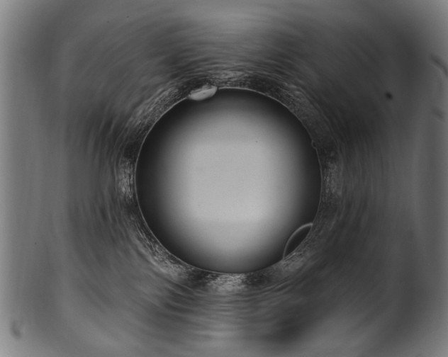 X0000100960138200806241536
