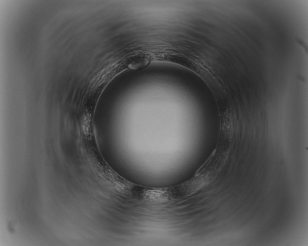X0000100960139200806241536