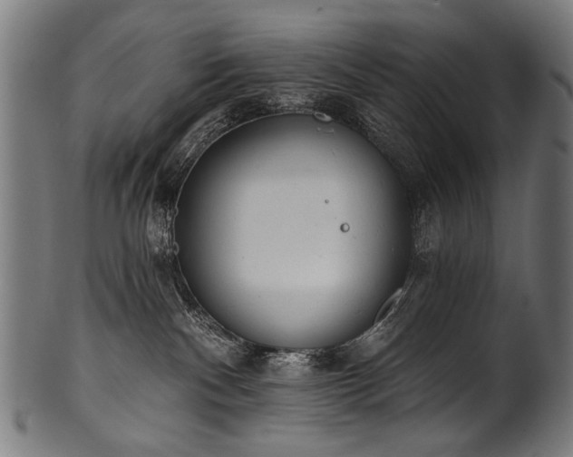 X0000100960140200806241536