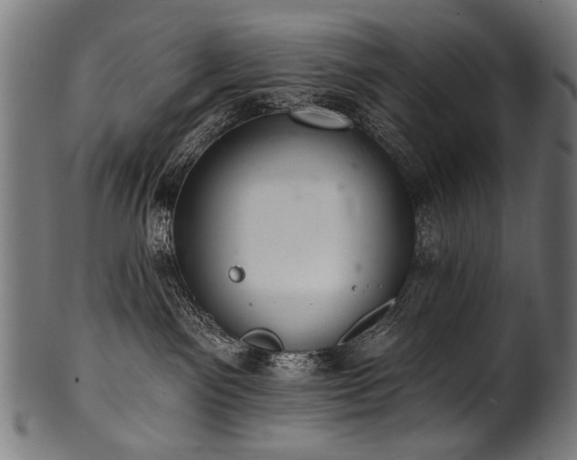 X0000100960141200806241536