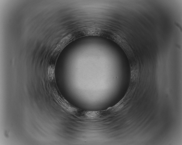 X0000100960142200806241536