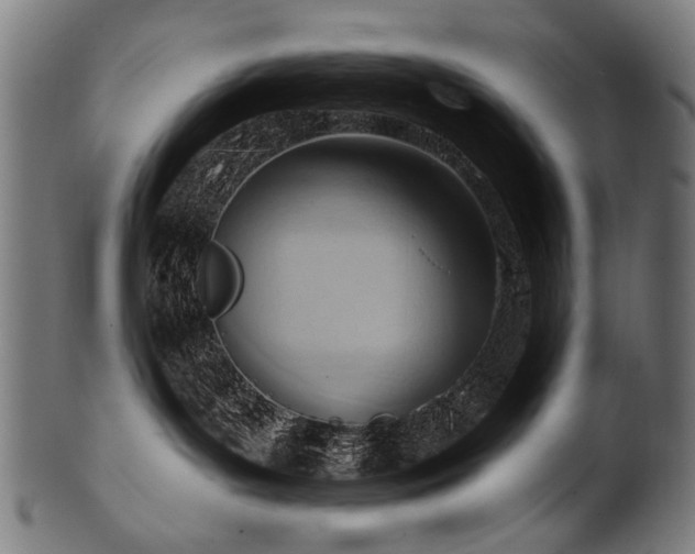 X0000100960143200806241536