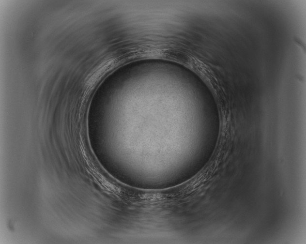 X0000100960145200806241535