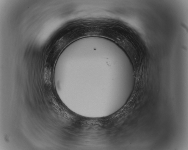 X0000100960146200806241535
