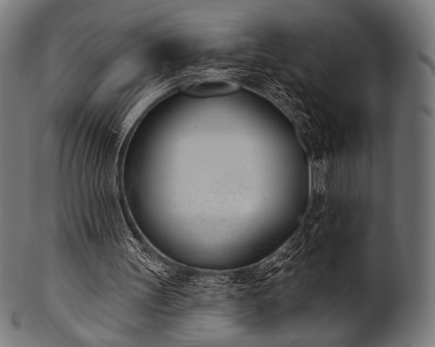 X0000100960147200806241535